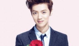 鹿晗少爷爆料视频是真的吗,鹿晗少爷爆料视频真实性揭秘