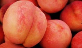 水蜜桃成3熟在线观看,甜蜜瞬间，在线共享美味时光